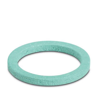       WP-FS HF IP68 PG11     -     Flat gasket   Phoenix Contact