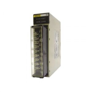 Module Input Omron CS1W-ID211